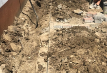 Intretinere Gradini Medgidia Intretinere Gradini Medgidia - ADD.GREEN EXCLUSIVE