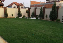 Intretinere Gradini Arad Amenajari Gradini Arad -  MARRY & NELLY STYLE SRL 