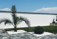 Intretinere Gradini Arad Amenajari Gradini Arad -  MARRY & NELLY STYLE SRL 