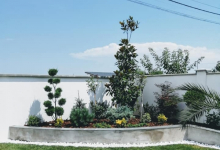 Intretinere Gradini Arad Amenajari Gradini Arad -  MARRY & NELLY STYLE SRL 