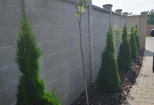 Intretinere Gradini Arad Amenajari Gradini Arad -  MARRY & NELLY STYLE SRL 