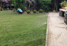 Intretinere Gradini Arad Amenajari Gradini Arad -  MARRY & NELLY STYLE SRL 