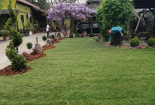 Intretinere Gradini Arad Amenajari Gradini Arad -  MARRY & NELLY STYLE SRL 