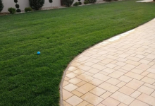 Intretinere Gradini Arad Amenajari Gradini Arad -  MARRY & NELLY STYLE SRL 