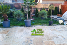 Intretinere Gradini Voluntari Intretinere Gradini si Spatii Verzi Voluntari - WOW GARDEN