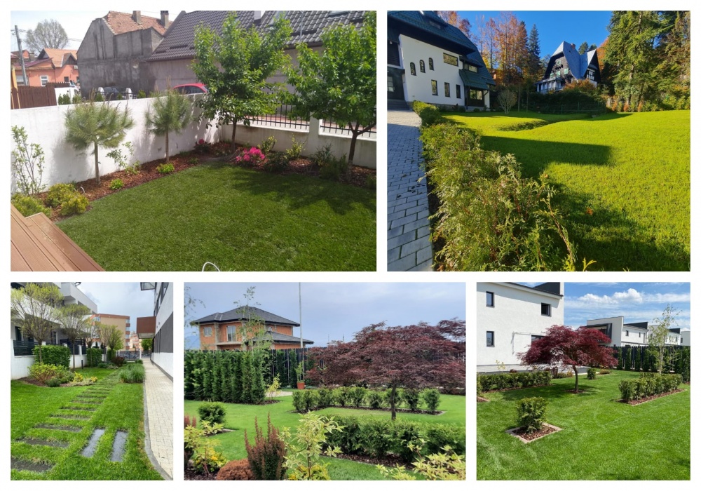 amenajari intretinere gradini brasov.jpg