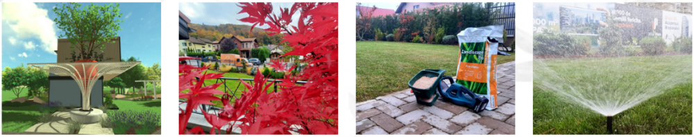 amenajari spatii verzi brasov