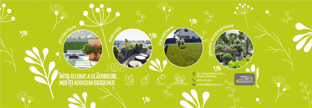 intretinere-gradini-brasov